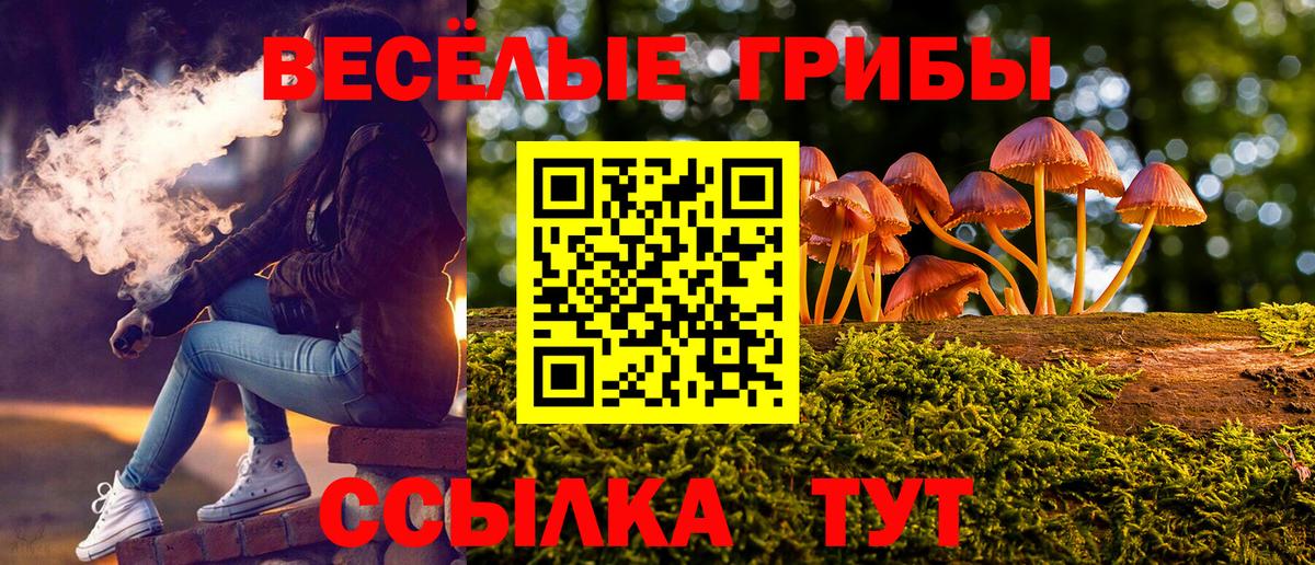 Галлюциногенные грибы мухоморы Камень-на-Оби